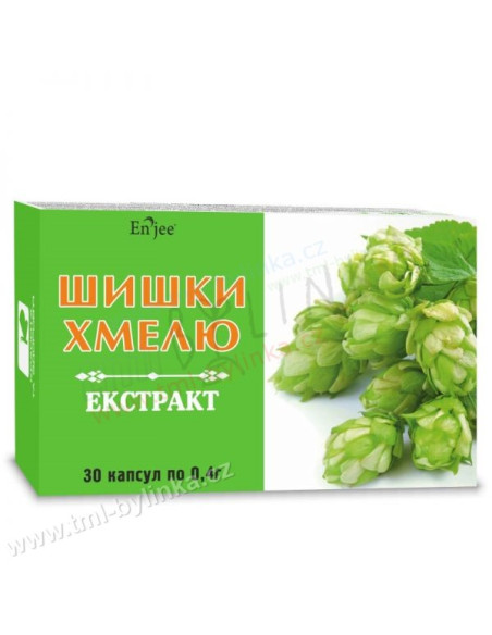 Obrázek