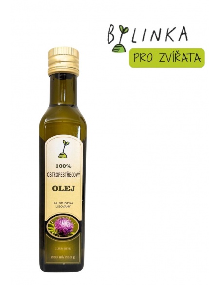 Obrázek
